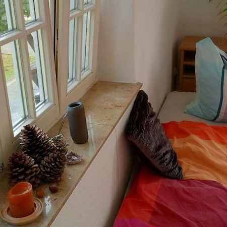 Forrest Apartments In Freiberg Min Stay 2 Nights Max Number Of Guest 1 Aprt 1 Εξωτερικό φωτογραφία