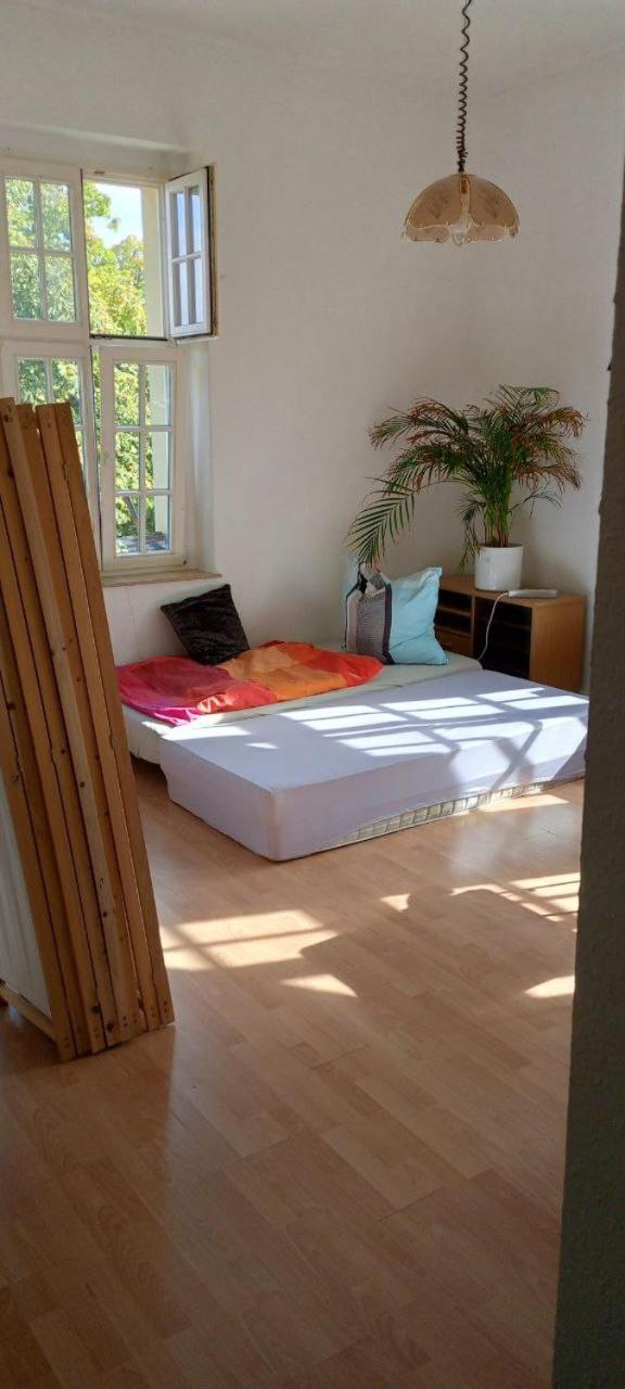 Forrest Apartments In Freiberg Min Stay 2 Nights Max Number Of Guest 1 Aprt 1 Εξωτερικό φωτογραφία