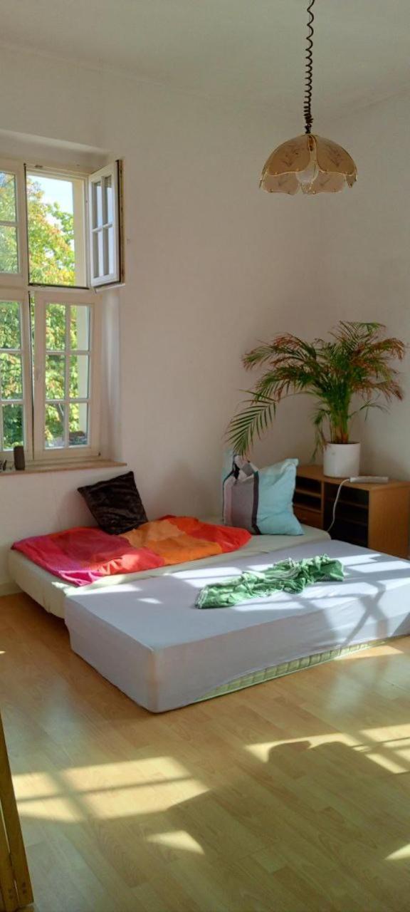 Forrest Apartments In Freiberg Min Stay 2 Nights Max Number Of Guest 1 Aprt 1 Εξωτερικό φωτογραφία