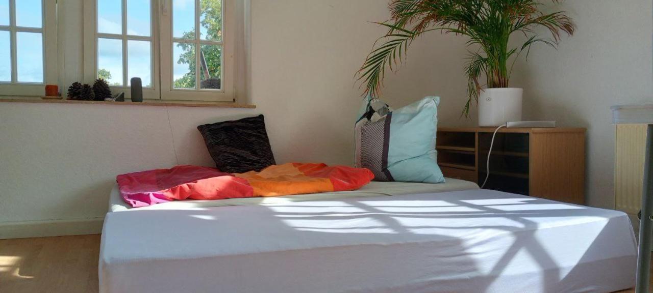 Forrest Apartments In Freiberg Min Stay 2 Nights Max Number Of Guest 1 Aprt 1 Εξωτερικό φωτογραφία