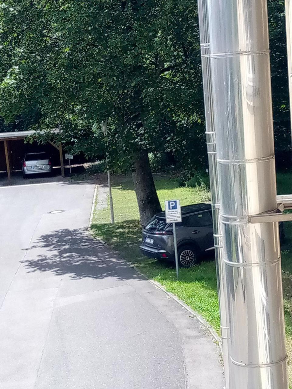 Forrest Apartments In Freiberg Min Stay 2 Nights Max Number Of Guest 1 Aprt 1 Εξωτερικό φωτογραφία